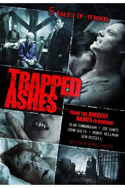 Trapped Ashes