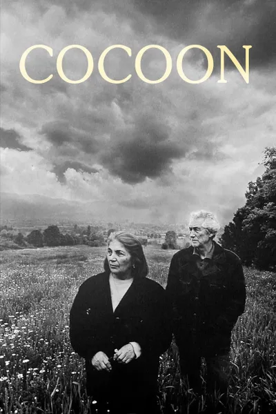 Cocoon