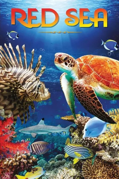 Red Sea