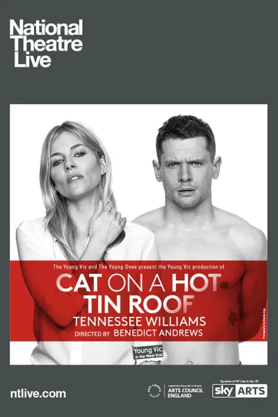 Cat on a Hot Tin Roof