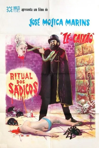 The Awakening of the Beast