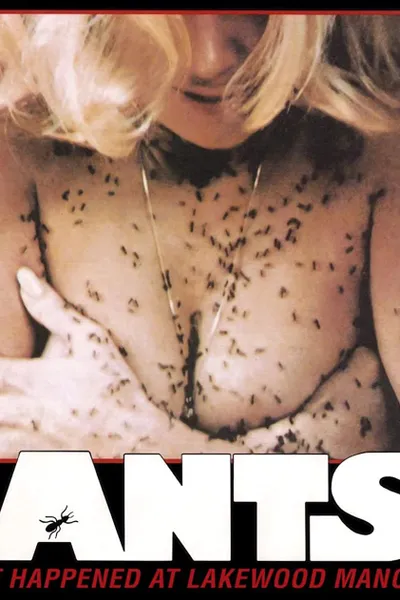 Ants!