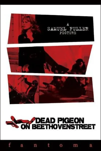 Tote Taube in der Beethovenstraße